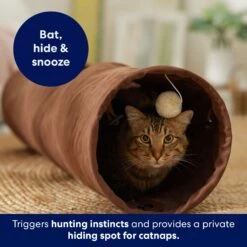 Frisco 35-in Foldable Crinkle Play Tunnel With 1 Window -Frisco Sales Store 140166 PT3. AC SS1800 V1695670685