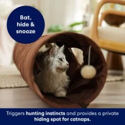 Frisco 47-in Foldable Crinkle Play Tunnel With 2 Windows 10 Frisco 47-in Foldable Crinkle Play Tunnel With 2 Windows -Frisco Sales Store 140168 PT3. AC SS1800 V1695241917