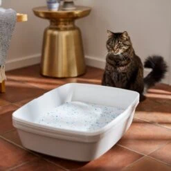 Frisco Summer Clean Scented Non-Clumping Crystal Cat Litter 13 Frisco Summer Clean Scented Non-Clumping Crystal Cat Litter -Frisco Sales Store 144146 PT4. AC SS1800 V1659023731