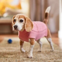 Frisco Dog & Cat Cable Knitted Sweater 14 Frisco Dog & Cat Cable Knitted Sweater -Frisco Sales Store 144254 PT5. AC SS1800 V1541456525