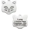 Frisco Stainless Steel Personalized Cat ID Tag, Cat -Frisco Sales Store 153043 MAIN. AC SS1800 V1540560124