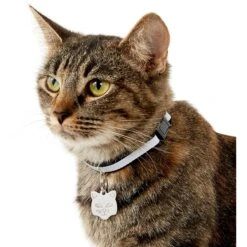 Frisco Stainless Steel Personalized Cat ID Tag, Cat -Frisco Sales Store 153043 PT5. AC SS1800 V1540560131