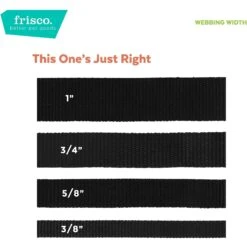 Frisco Nylon Breakaway Cat Collar With Bell -Frisco Sales Store 153148 PT6. AC SS1800 V1629992798