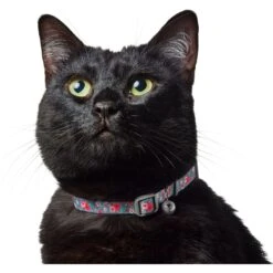 Frisco Rose Polyester Breakaway Cat Collar With Bell -Frisco Sales Store 153160 PT3. AC SS1800 V1701796877