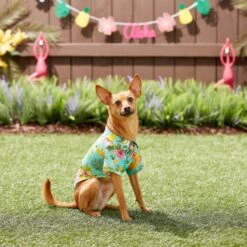 Frisco Pineapple Hawaiian Camp Dog & Cat Shirt -Frisco Sales Store 153596 PT7. AC SS1800 V1644884316