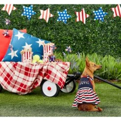 Frisco American Cutie Dog & Cat Sundress -Frisco Sales Store 153735 PT4. AC SS1800 V1633126624