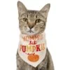 Frisco Mommy's Lil Pumpkin Dog & Cat Bandana -Frisco Sales Store 158936 MAIN. AC SS1800 V1689628232