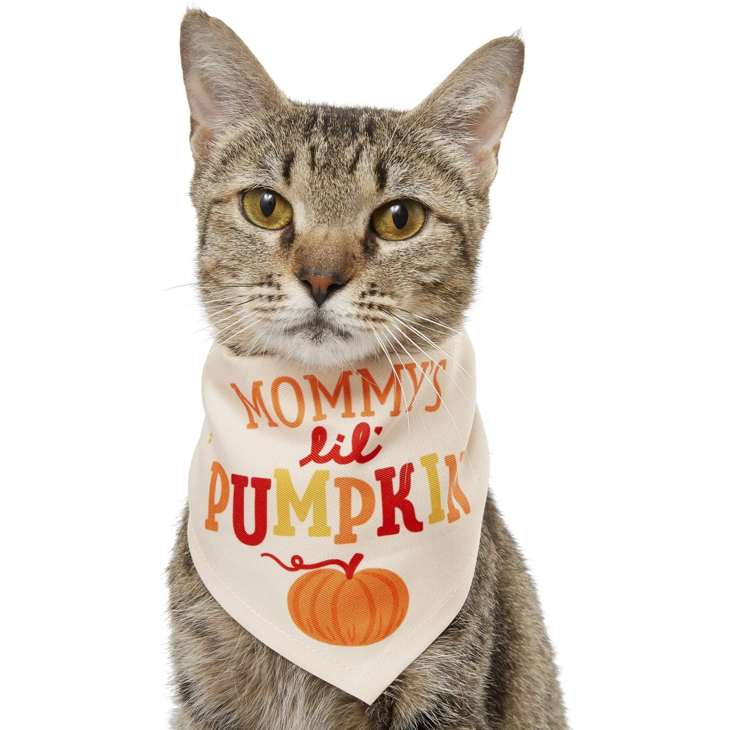 Frisco Mommy's Lil Pumpkin Dog & Cat Bandana 3 Frisco Mommy's Lil Pumpkin Dog & Cat Bandana