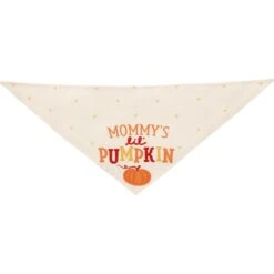 Frisco Mommy's Lil Pumpkin Dog & Cat Bandana 12 Frisco Mommy's Lil Pumpkin Dog & Cat Bandana -Frisco Sales Store 158936 PT3. AC SS1800 V1689628812