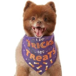 Frisco I Do Tricks For Treats Dog & Cat Bandana 12 Frisco I Do Tricks For Treats Dog & Cat Bandana -Frisco Sales Store 158938 PT3. AC SS1800 V1633075903