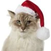 Frisco Holiday Dog & Cat Santa Hat, 1 Count 1 Frisco Holiday Dog & Cat Santa Hat, 1 Count -Frisco Sales Store 160054 MAIN. AC SS1800 V1663948847