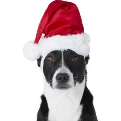 Frisco Holiday Dog & Cat Santa Hat, 1 Count -Frisco Sales Store 160054 PT2. AC SS1800 V1669100718
