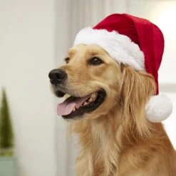 Frisco Holiday Dog & Cat Santa Hat, 1 Count -Frisco Sales Store 160054 PT4. AC SS1800 V1637650626