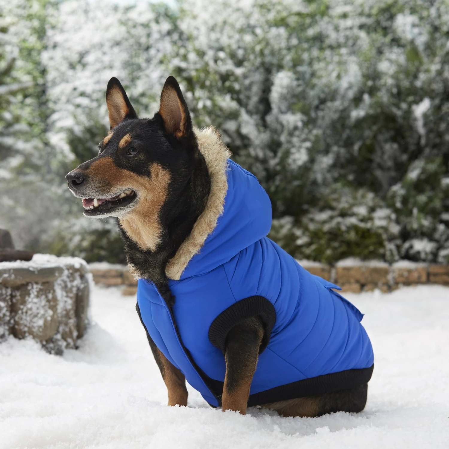 Frisco Heavyweight Anchorage Insulated Dog & Cat Parka 10 Frisco Heavyweight Anchorage Insulated Dog & Cat Parka - Image 8