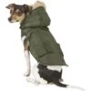 Frisco Mid-Heavyweight Portland Insulated Dog & Cat Parka -Frisco Sales Store 160295 MAIN. AC SS1800 V1566999745