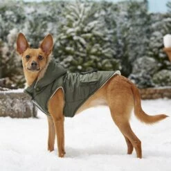 Frisco Mid-Heavyweight Portland Insulated Dog & Cat Parka 17 Frisco Mid-Heavyweight Portland Insulated Dog & Cat Parka -Frisco Sales Store 160295 PT7. AC SS1800 V1567618265