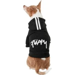 Frisco Püppy Dog Athletic Hoodie 11 Frisco Püppy Dog Athletic Hoodie -Frisco Sales Store 160342 PT2. AC SS1800 V1637689590