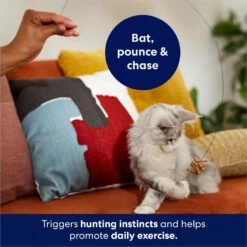 Frisco Cardboard & Wire Teaser Cat Toy -Frisco Sales Store 161194 PT3. AC SS1800 V1686579092