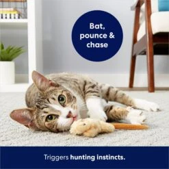 Frisco Skinny Mouse Plush Cat Toy With Catnip -Frisco Sales Store 161268 PT5. AC SS1800 V1686578718