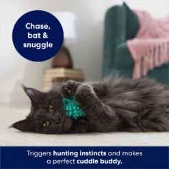 Frisco Moppy Ball Cat Toy With Catnip 10 Frisco Moppy Ball Cat Toy With Catnip -Frisco Sales Store 161280 PT3. AC SS1800 V1686580106