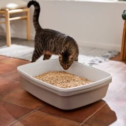 Frisco Pine Pellet Unscented Non-Clumping Wood Cat Litter 13 Frisco Pine Pellet Unscented Non-Clumping Wood Cat Litter -Frisco Sales Store 161458 PT4. AC SS1800 V1659023182