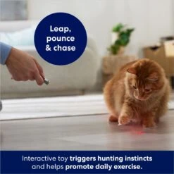 Frisco 2-in-1 Laser & LED Light Laser Cat Toy 9 Frisco 2-in-1 Laser & LED Light Laser Cat Toy -Frisco Sales Store 166309 PT3. AC SS1800 V1686579688