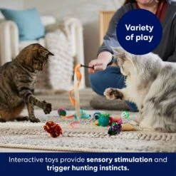 Frisco Plush, Teaser & Ball Variety Pack Cat Toy With Catnip -Frisco Sales Store 169686 PT5. AC SS1800 V1691783971