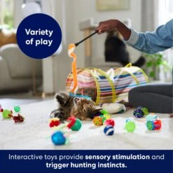 Frisco Plush, Teaser, Ball & Tunnel Variety Pack Cat Toy With Catnip -Frisco Sales Store 169688 PT5. AC SS1800 V1691784246