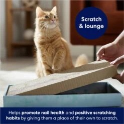 Frisco Double-Wide Cat Scratcher Toy Refill With Catnip, 2 Count -Frisco Sales Store 174800 PT3. AC SS1800 V1678723850