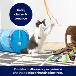 Frisco Plush, Teaser, Ball & Tri-Tunnel Variety Pack Cat Toy With Catnip, 20 Count 10 Frisco Plush, Teaser, Ball & Tri-Tunnel Variety Pack Cat Toy With Catnip, 20 Count -Frisco Sales Store 178161 PT3. AC SS1800 V1678723898