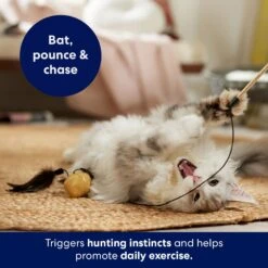 Frisco Sparkle Ball Teaser Wand Cat Toy With Catnip -Frisco Sales Store 183254 PT3. AC SS1800 V1695241915
