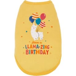 Frisco Llama-zing Birthday Dog & Cat T-Shirt 9 Frisco Llama-zing Birthday Dog & Cat T-Shirt -Frisco Sales Store 191240 PT2. AC SS1800 V1582053523