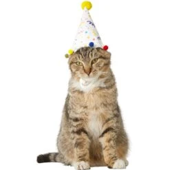 Frisco Confetti Dog & Cat Birthday Hat -Frisco Sales Store 191274 PT2. AC SS1800 V1582053206