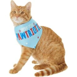 Frisco Pawtriot Dog & Cat Bandana 11 Frisco Pawtriot Dog & Cat Bandana -Frisco Sales Store 191277 PT2. AC SS1800 V1584623825