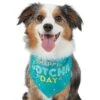 Frisco Happy Gotcha Day Dog & Cat Bandana 1 Frisco Happy Gotcha Day Dog & Cat Bandana -Frisco Sales Store 200538 MAIN. AC SS1800 V1633085812