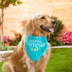 Frisco Happy Gotcha Day Dog & Cat Bandana -Frisco Sales Store 200538 PT3. AC SS1800 V1633086146