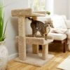 Frisco 32-in Real Carpet Wooden Cat Tree With Toy -Frisco Sales Store 208920 MAIN. AC SS1800 V1602682003