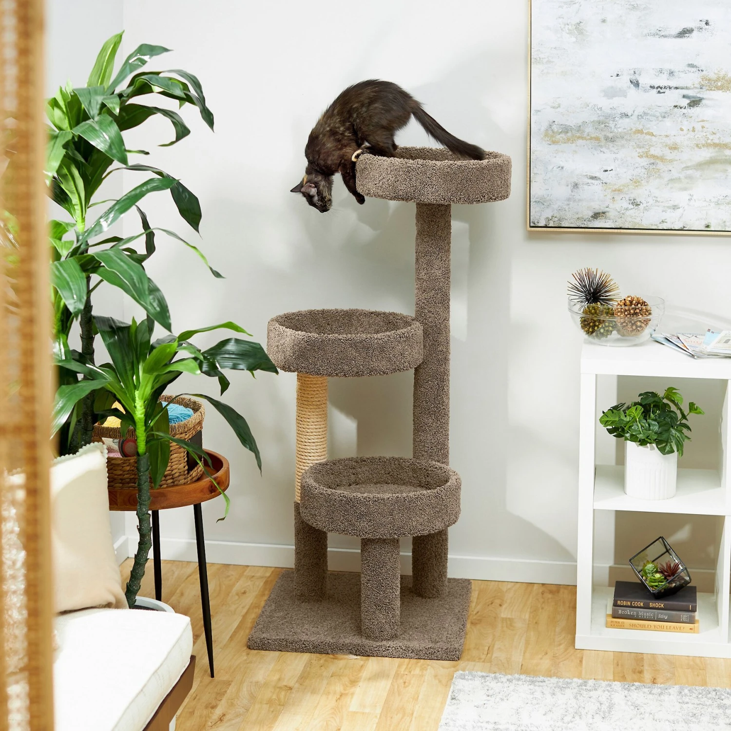 Frisco 50-in Real Carpet Wooden Cat Tree 3 Frisco 50-in Real Carpet Wooden Cat Tree