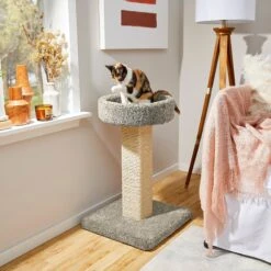 Frisco 32-in Real Carpet Wooden Cat Tree