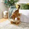 Frisco 20-in 3-Step Real Carpet Wooden Cat Steps -Frisco Sales Store 208966 MAIN. AC SS1800 V1602682013