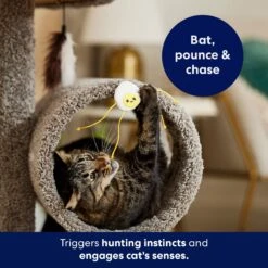 Frisco Plush Dangly Egg Buddy Cat Toy With Catnip 10 Frisco Plush Dangly Egg Buddy Cat Toy With Catnip -Frisco Sales Store 213844 PT5. AC SS1800 V1691784029