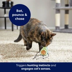 Frisco Dangly Avocado Buddy Plush Cat Toy With Catnip 10 Frisco Dangly Avocado Buddy Plush Cat Toy With Catnip -Frisco Sales Store 213846 PT5. AC SS1800 V1691784029