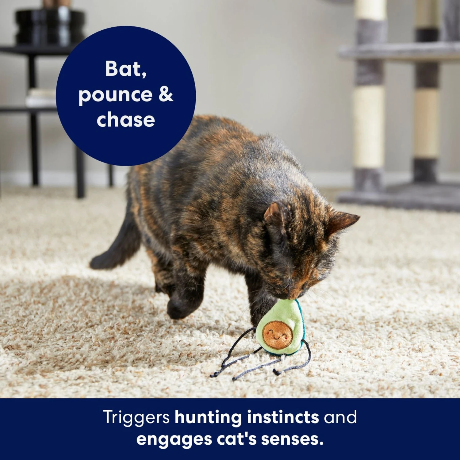 Frisco Dangly Avocado Buddy Plush Cat Toy With Catnip 6 Frisco Dangly Avocado Buddy Plush Cat Toy With Catnip - Image 4