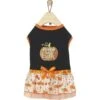 Frisco Pumpkin Patch Cutie Dog & Cat Dress 1 Frisco Pumpkin Patch Cutie Dog & Cat Dress -Frisco Sales Store 215784 MAIN. AC SS1800 V1632424571