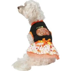 Frisco Pumpkin Patch Cutie Dog & Cat Dress -Frisco Sales Store 215784 PT3. AC SS1800 V1632430875