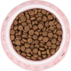 Frisco Pink Cute Cats Melamine Bowl -Frisco Sales Store 216043 PT4. AC SS1800 V1591020694