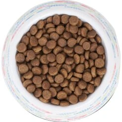 Frisco Colorful Fish Melamine Bowl 12 Frisco Colorful Fish Melamine Bowl -Frisco Sales Store 216047 PT4. AC SS1800 V1591020721