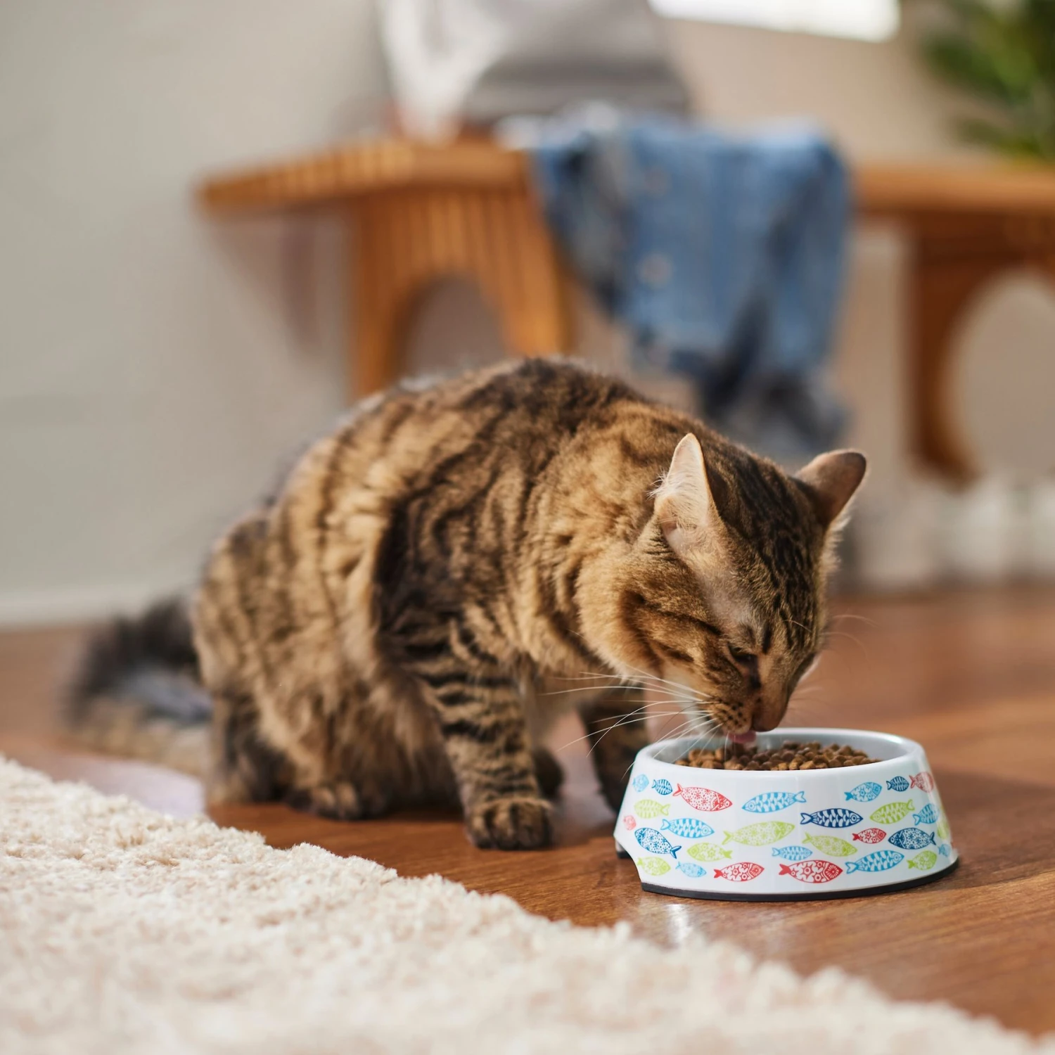 Frisco Colorful Fish Melamine Bowl 8 Frisco Colorful Fish Melamine Bowl - Image 6