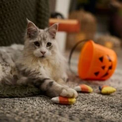 Frisco Halloween Candy Corn Plush Cat Toy With Catnip -Frisco Sales Store 218645 PT3. AC SS1800 V1689878929