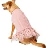 Frisco Cable Knit Dog & Cat Sweater Dress -Frisco Sales Store 223706 MAIN. AC SS1800 V1599053470